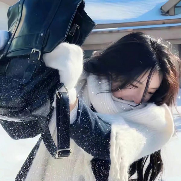 犯罪生涯